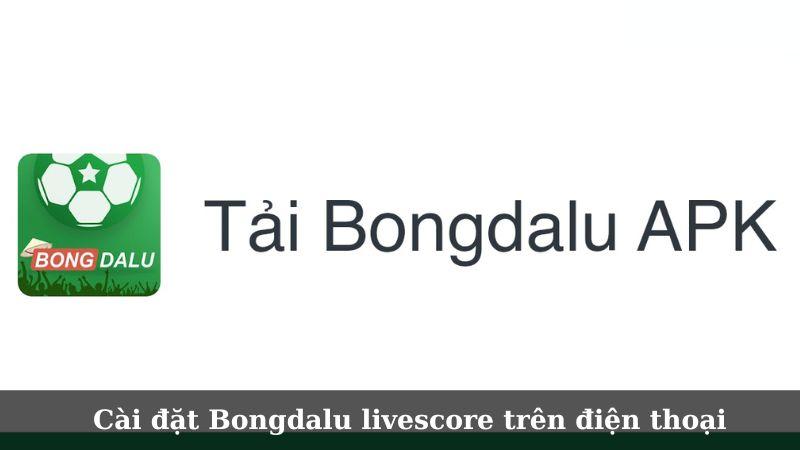 Cài đặt Bongdalu livescore cho trải nghiệm ngay trên thiết bị di động