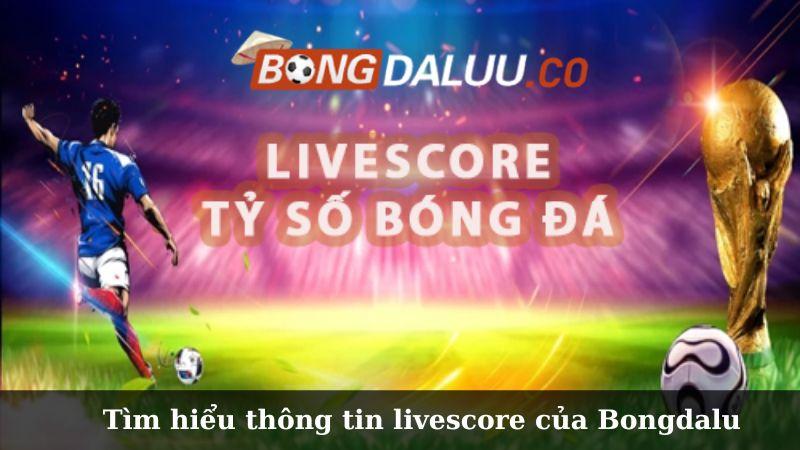Tìm hiểu thông tin về livescore của Bongdalu